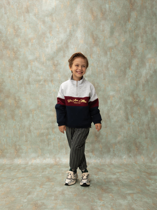 ZIP-UP SWEATSHIRT - GREY & BLUE